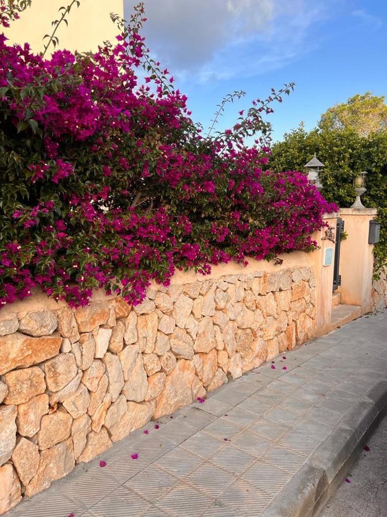 Ferienhaus Casa Baleares Ts Sl